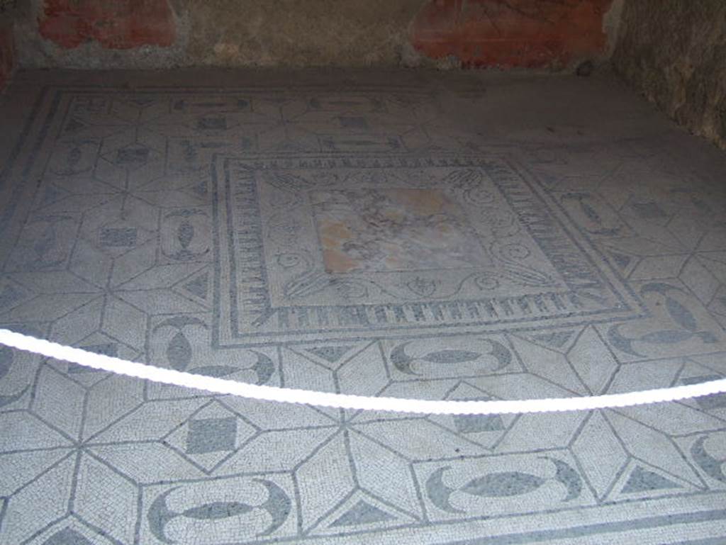 V.30 Herculaneum, May 2006. Mosaic floor from Oecus 1.